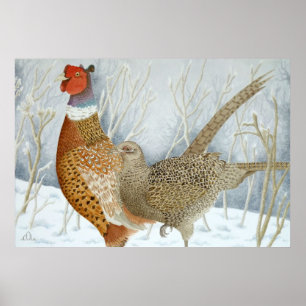 Poster Faisão na neve