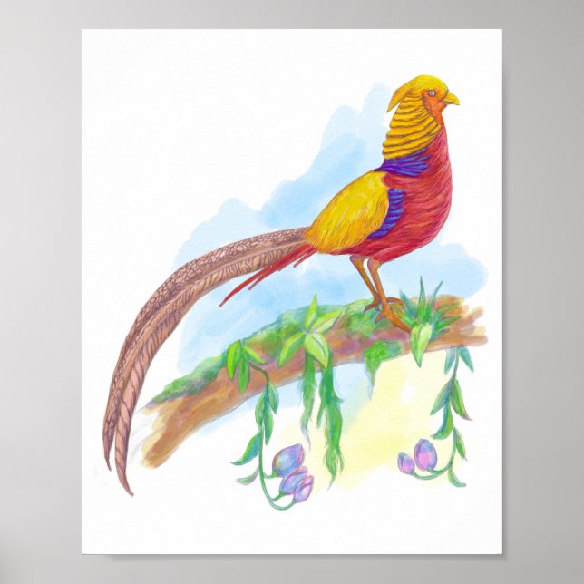 Poster Faisão Ouro de aves (Frente)