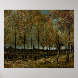Poster Faixa com Poplars perto de Nuenen - Van Gogh - c18