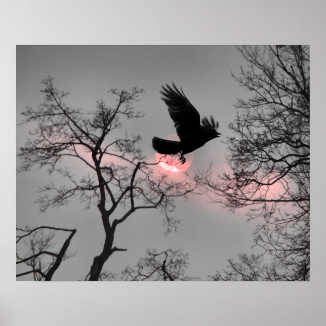 Poster Faixa do Céu Rosa (Frente)