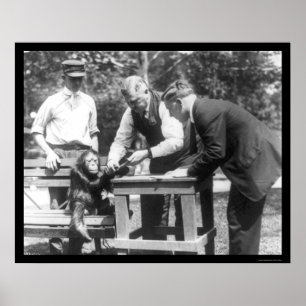 Pôster Fala ao orangotango 1920