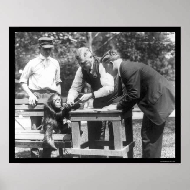 Pôster Falando com Orangutan 1920 (Frente)