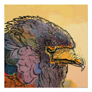 PÔSTER FALCÃO