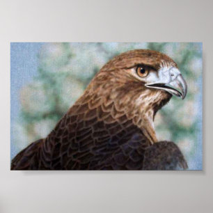 Pôster Falcão-airbrush da Vermelho-cauda