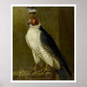 Pôster Falcão da caça - século XVII