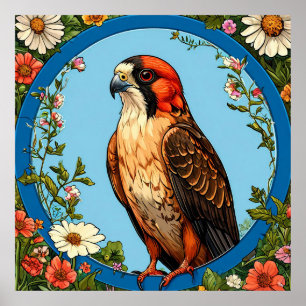 Poster Falcão de patas vermelhas colorido