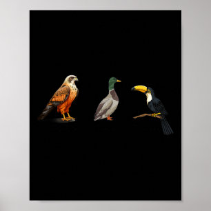 Poster Falcão Duck Toucan Birds Sutil Anti Trump 1