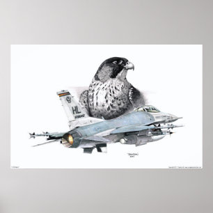 Pôster Falcão F-16 e falcão