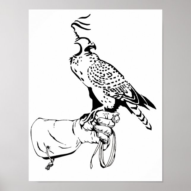 Poster Falcão na Luva (Frente)