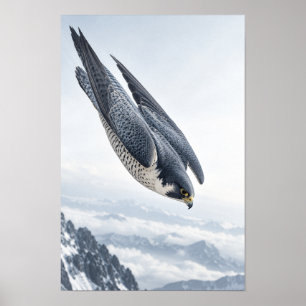 Poster Falcão-peregrino Mergulhando Sobre Montanhas Nevad