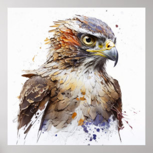 Poster Falcon Bird Retrait Animal Painting Willife Free