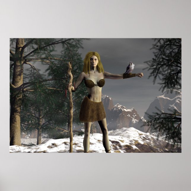 Poster Falcon Heights (Frente)