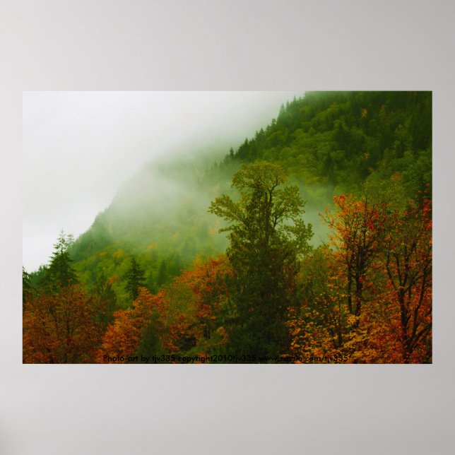 Poster Fall and Fog Print (Frente)