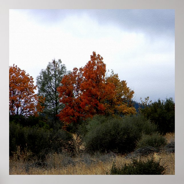 Poster Fall beauty.... (Frente)