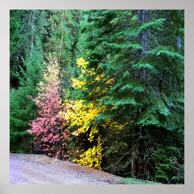 Poster Fall colors in the mountains.... (Frente)