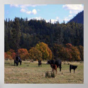 Poster Fall colors with the herd...