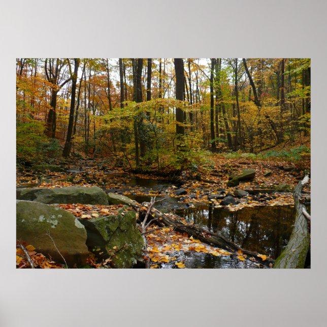 Pôster Fall Creek com Reflexo no Laurel Hill Park (Frente)