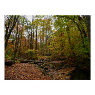 Pôster Fall Creek em Laurel Hill State Park na Pensilvâni