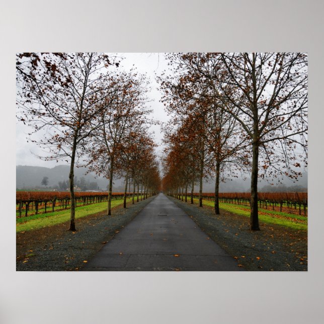 Poster Fall in Saint Helena (Frente)