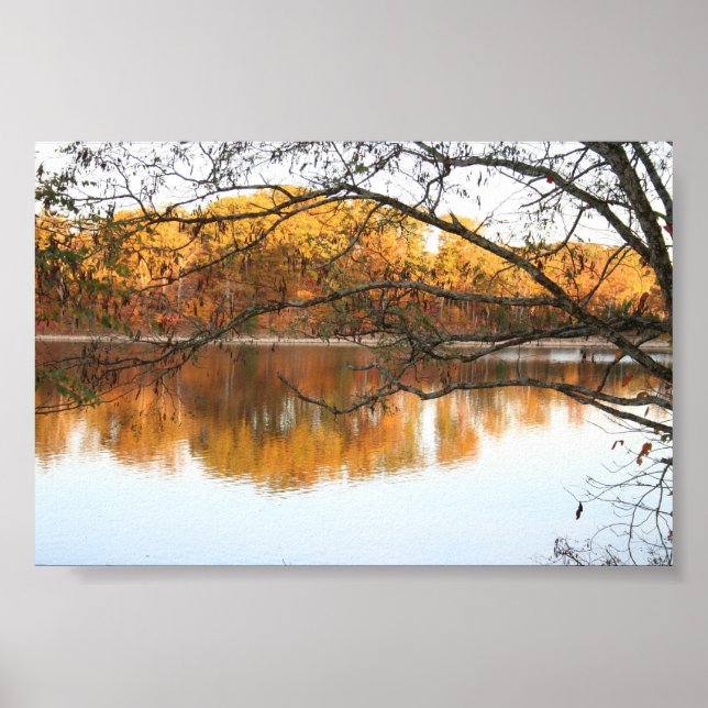 Poster Fall Reflections (Frente)