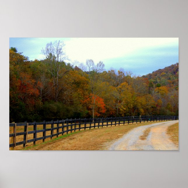 Poster Fall Road (Frente)
