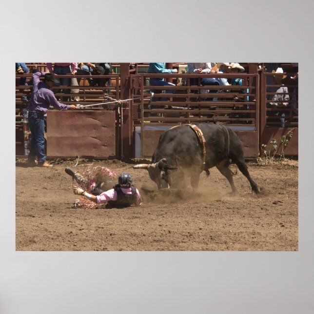 Poster Fallen Rider está prestes a encontrar a sua montan (Frente)