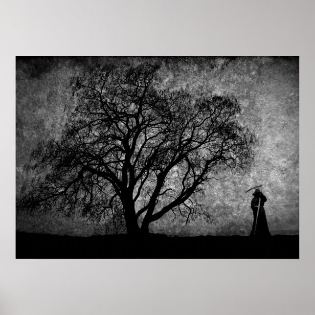 Pôster Falln Grim Reaper - Limites de Arte Original Entre (Frente)