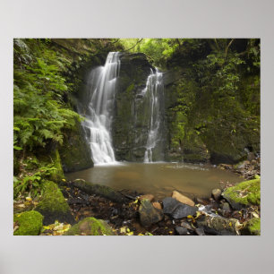 Poster Falls em ferradura, Matai Falls