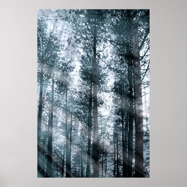 Poster Falo com as árvores... (Frente)