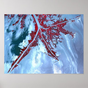 Pôster Falsa cor satélite