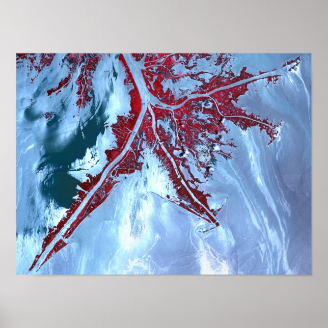 Pôster Falsa cor satélite (Frente)