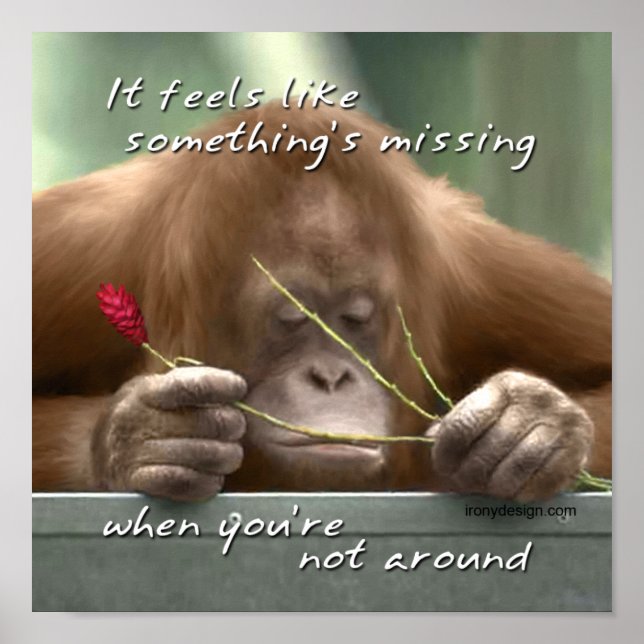 Pôster Faltando você (Frente)