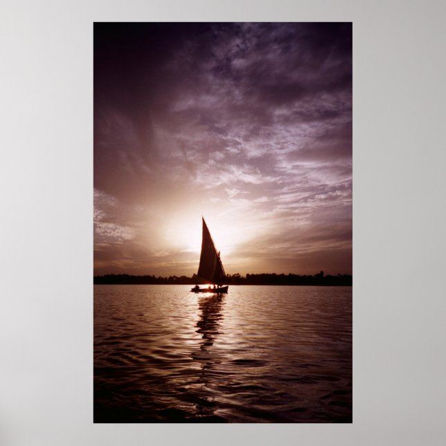 Poster Faluka à luz do sol (Frente)