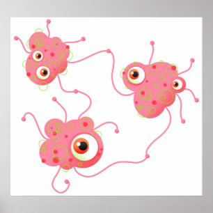 Poster Família Bacteria