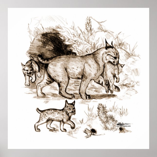 Pôster Família Bobcat (Frente)