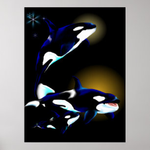 Pôster Família da orca