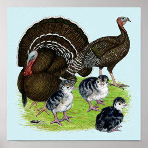 Pôster Família de Bronze Padrão da Turquia