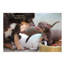 Família de Cachorros Pequenos em Janto