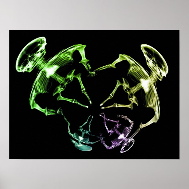 Poster Família de esqueleto de raios X 4 (Frente)