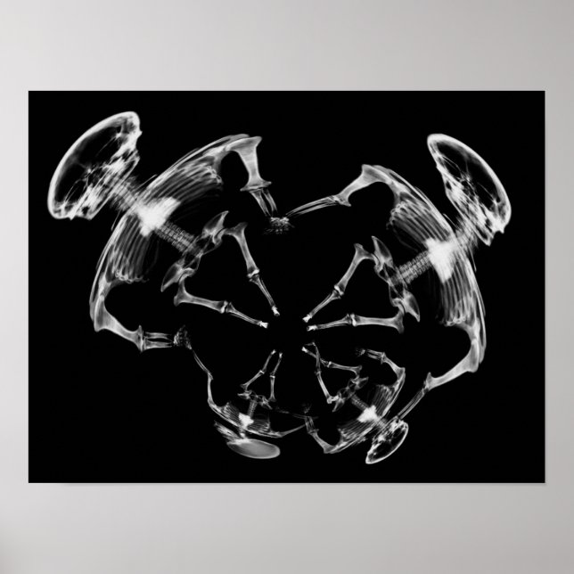 Poster Família de esqueleto de raios X estendida B&W (Frente)