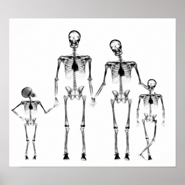 POSTER - FAMÍLIA DE ESQUELETÕES X-RAY PRETA E BRAN (Frente)