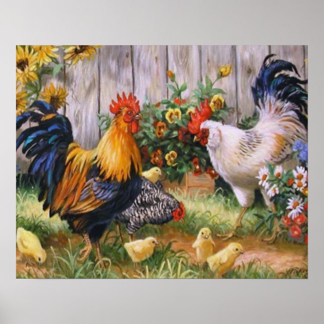 Pôster Família de frangos (Frente)
