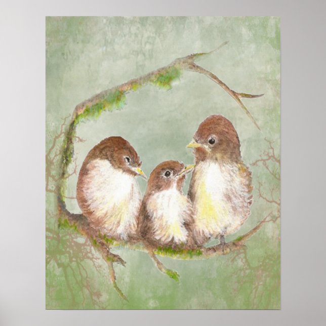 Pôster Família de pássaros Sparrow Watercolor (Frente)