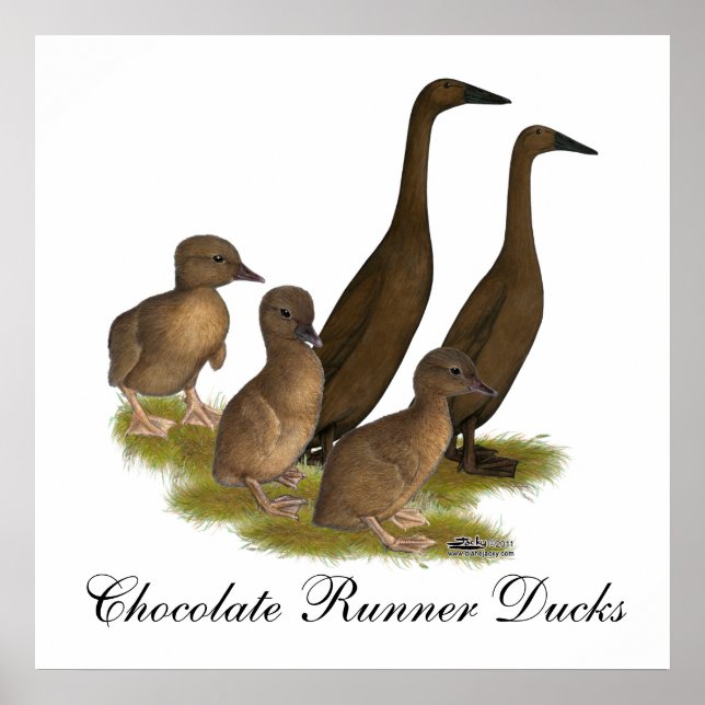 Poster Família de Patos de Chocolate Runner (Frente)