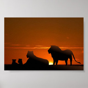 Poster família do leão