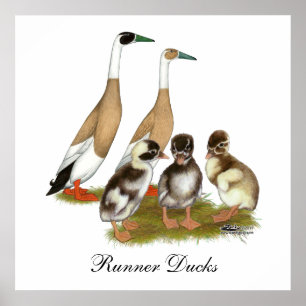 Pôster Família Pencione Runner Duck Lápida