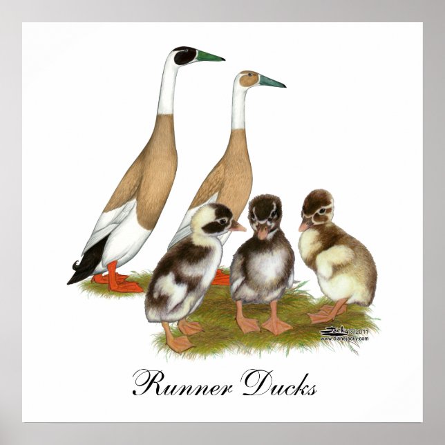 Pôster Família Pencione Runner Duck Lápida (Frente)