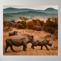 Família Rhino, Reserva de Pilanesberg, África do S