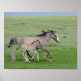 Pôster FamíliaExecutar