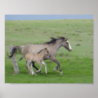 Pôster FamíliaExecutar